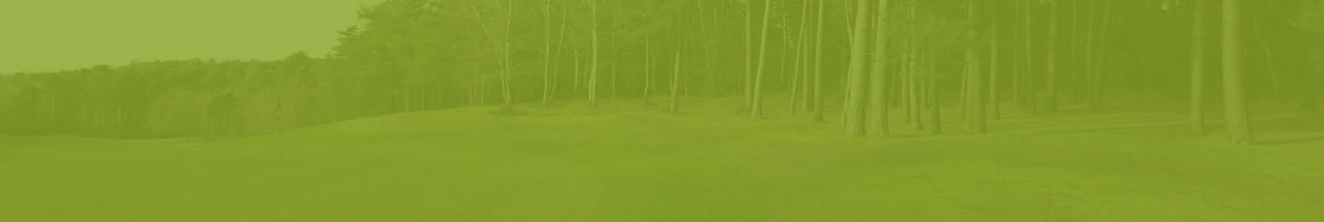 home page header